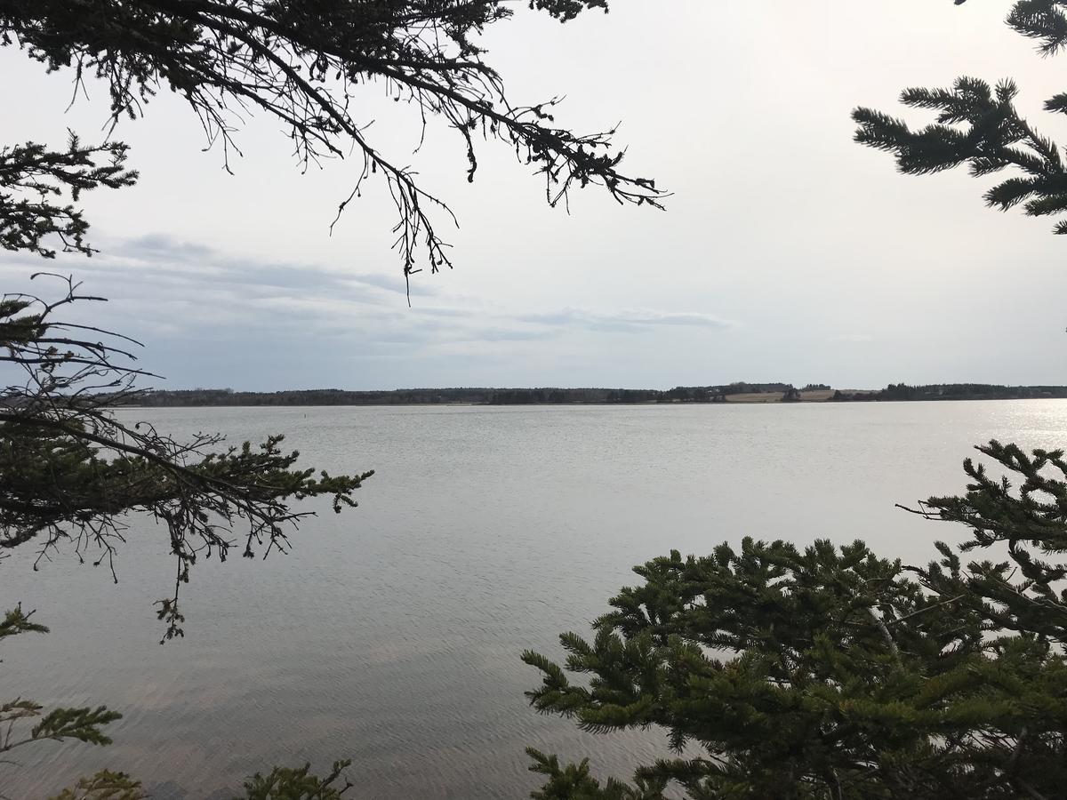 By The Bay Cottages Stanhope Exteriör bild